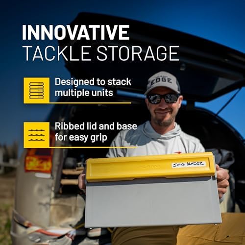 Edge Frog Box - Image 4