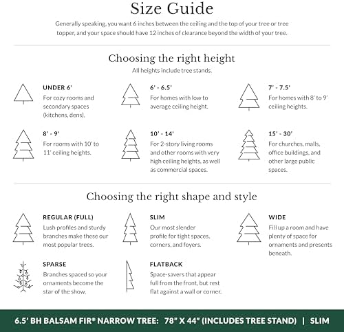 Balsam Hill BH Balsam Fir Narrow Tree - Realistic Artificial Christmas Tree, Premium Stand, Storage Bag & Easy Assembly for Indoor Holiday Decorating, LED Clear, 6.5ft - Image 6