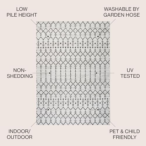 Eyely Moroccan Textured Weave Area Rug 8X10 Cream/Black, Indoor Outdoor Rug - Image 4