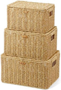 Nonam Wicker Storage Basket With lid, Large Stackable Plastic Bin, Natural by Home