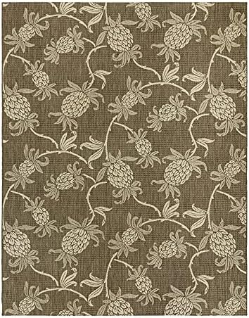 Gertmenian Indoor/Outdoor Kona Coast by Reyn Spooner Rug - 8x10 Large, Stain & UV Resistant, Ideal for Deck, Patio, Poolside Rooms - Pineapple, Brown, 46655 by Gertmenian