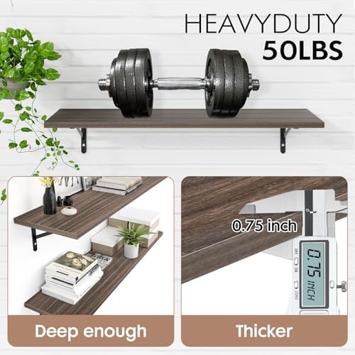 Kaboon 45 inch Long 10 inch Deep Floating Shelves for Wall Set of 2, Large Open Shelves Wall Mounted, Space Saving Home and Commercial Use, Eucalyptus - Image 5