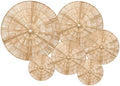 Laquedecraft Plates Wall Decor Set of 6, Natural Handwoven Wicker by Laquedecraft