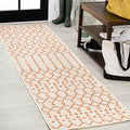 Eyely Moroccan Woven Runner Rug 2X10 Cream/Orange, Indoor Outdoor Rug by eyely