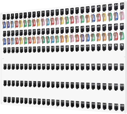 Beeveer Acrylic Key Holder Board with 150 Hooks, Wall Mount Organizer,Clear by Beeveer