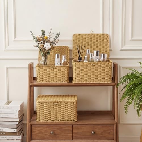 Nonam Wicker Storage Basket With lid, Large Stackable Plastic Bin, Natural - Image 4