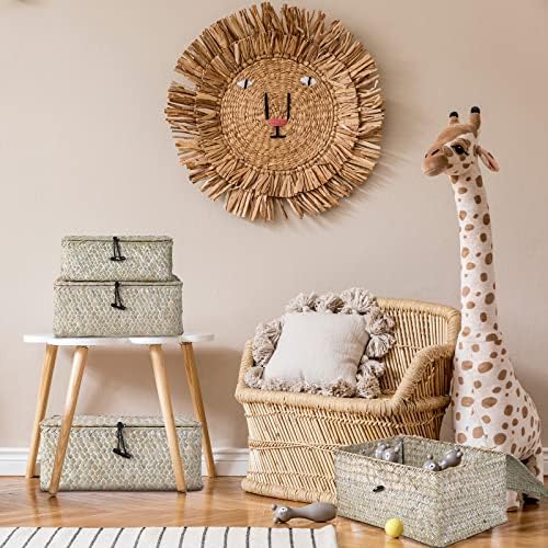 Woanger Set of 4 Wicker Baskets with Lids, White - Image 3