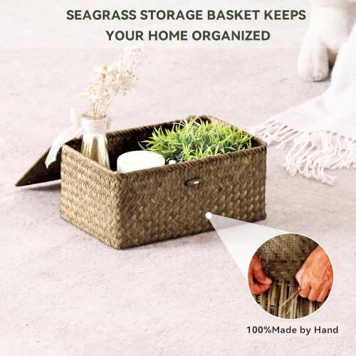 Nonam Wicker Storage Basket with Lid,Seagrass Shelf Basket Set of 3,Coffee - Image 6