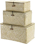 Hipiwe Set of 3 Wicker Storage Basket Bin with Lid Large Woven Seagrass Box by Hipiwe