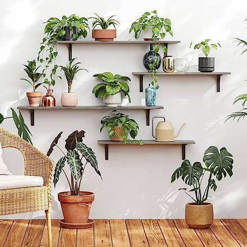 DINZI LVJ Long Wall Shelves, 47.3Inch Wooden Wall Mounted Shelves, Set of 2 - Image 2
