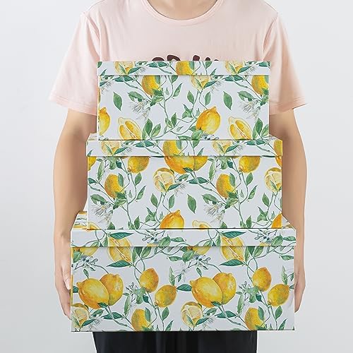 Soul & Lane - Zesty Lemons Decorative Storage Boxes with Lids, Set of 3 - Image 3