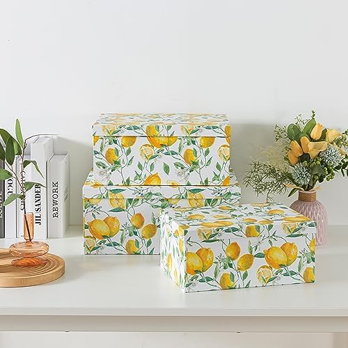 Soul & Lane - Zesty Lemons Decorative Storage Boxes with Lids, Set of 3 - Image 6