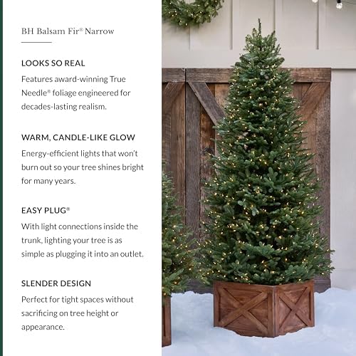 Balsam Hill BH Balsam Fir Narrow Tree - Realistic Artificial Christmas Tree, Premium Stand, Storage Bag & Easy Assembly for Indoor Holiday Decorating, LED Clear, 6.5ft - Image 2