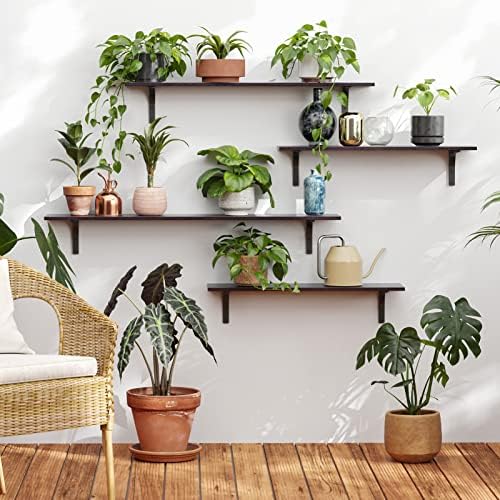 DINZI LVJ Long Wall Shelves, 31.5Inch Wooden Wall Mounted Shelves, Set of 2 - Image 4