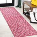 Eyely Moroccan Woven Runner Rug 2X10 Fuchsia/Lt Gray, Indoor Outdoor Rug by eyely