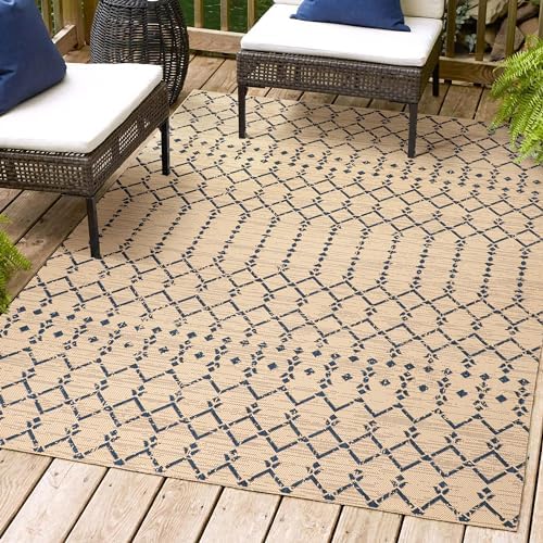 Eyely Moroccan Textured Weave Area Rug 3X5 Beige/Navy, Indoor Outdoor Rug by eyely