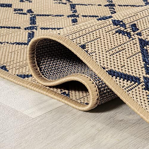 Eyely Moroccan Woven Runner Rug 2X10 Beige/Navy, Indoor Outdoor Rug - Image 7