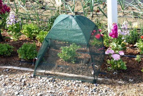 Synthetic Framed Bug and Insect Shade Cover Size: 28" - Image 3
