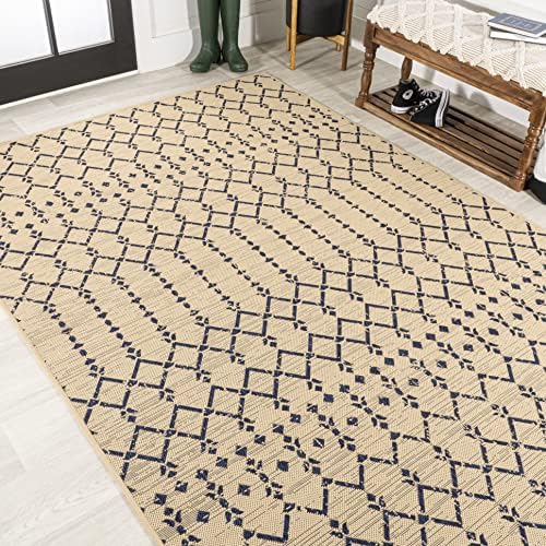 Eyely Moroccan Textured Weave Area Rug 4X6 Beige/Navy, Indoor Outdoor Rug - Image 5