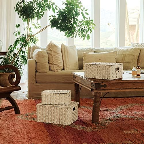 GRANNY SAYS Wicker Baskets with Lids, Woven Storage Basket with Lid - Image 2