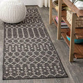 Eyely Moroccan Woven Runner Rug 2X10 Black/Gray, Indoor Outdoor Rug by eyely