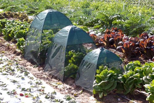 Synthetic Framed Bug and Insect Shade Cover Size: 28" - Image 4