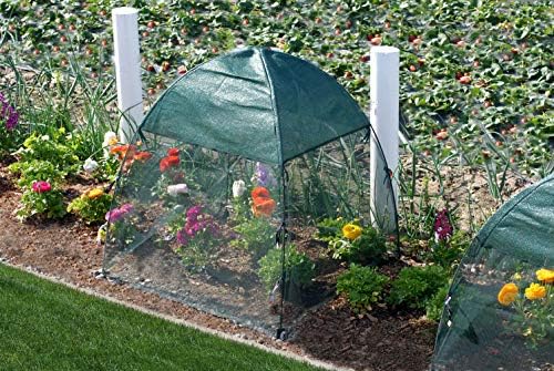Nuvue Products 24200, 22" x 22" x 22", 2 Pack Bug ' n Shade Cover, Green - Image 2