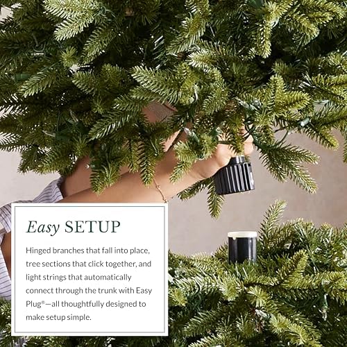 Balsam Hill BH Balsam Fir Narrow Tree - Realistic Artificial Christmas Tree, Premium Stand, Storage Bag & Easy Assembly for Indoor Holiday Decorating, LED Clear, 6.5ft - Image 5