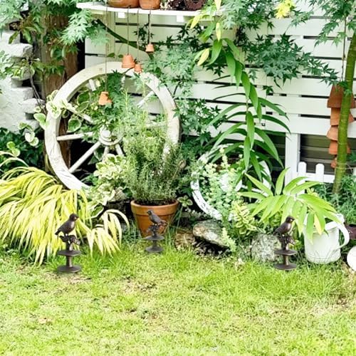 2 Pcs Heavy Duty Cast Iron Garden Hose Guide Stakes, Maijdoany Yard Art Decor, Bird-Shaped Hose Guards Keeps Garden Hose Out of Flower Beds for Plant Protection Greenhouse - Image 6