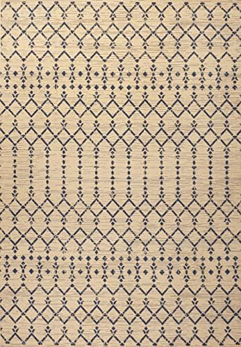Eyely Moroccan Textured Weave Area Rug 3X5 Beige/Navy, Indoor Outdoor Rug - Image 3